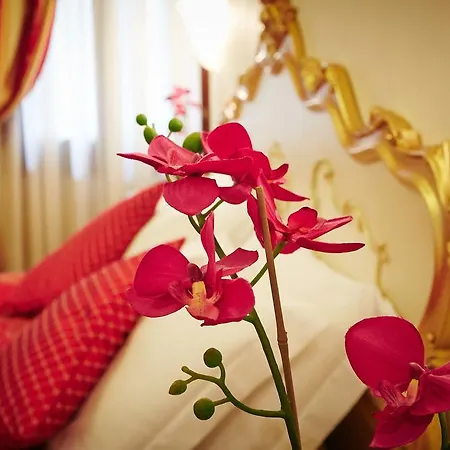 아파르타멘티 산 루카 아파트